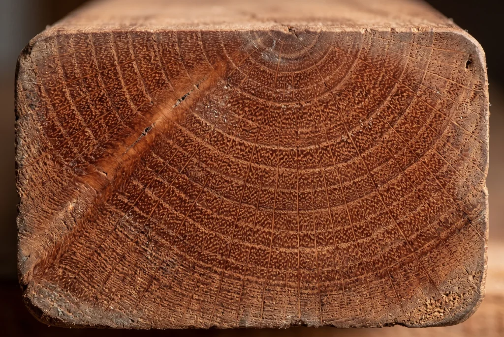 meranti hout technische eigenschappen doorsnede shorea tropisch hardhout nederland