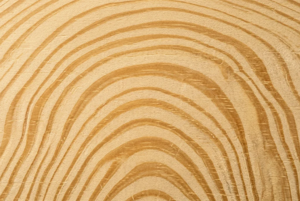 elliotti pine hout nerf vlamtekening vroeg laathout contrast detail southern pine