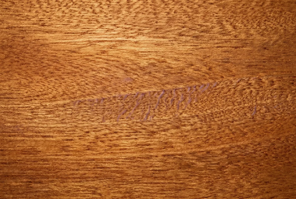 sipo hout nerf vlamtekening dosse vlak mahonie detail karakteristiek